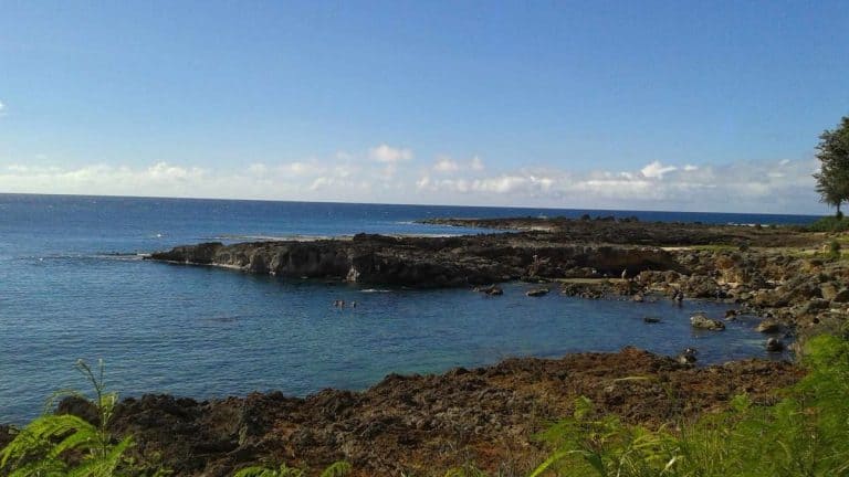 Pupukea Shark's Cove Area