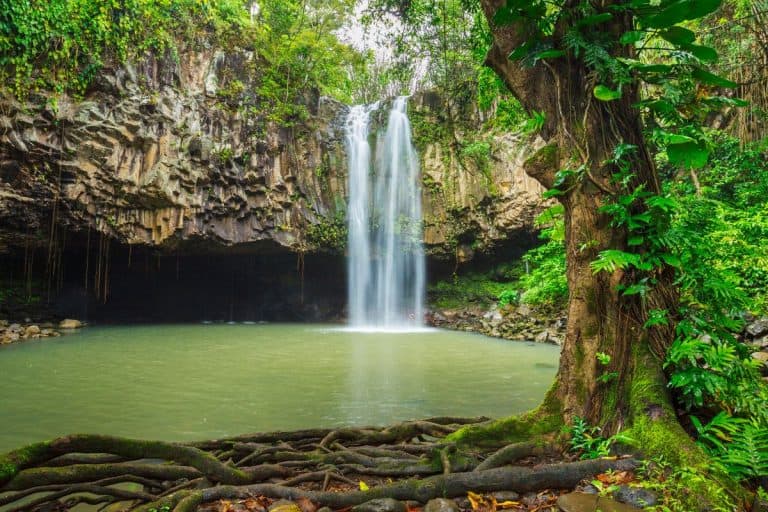 Gorgeous Hawaii waterfall in lush surroundings